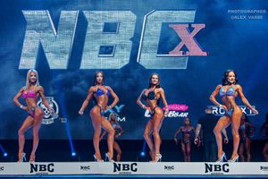 BIKINI НОВИЧКИ 164